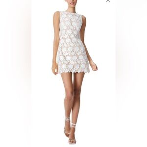 Alice and Olivia Cocktail dress